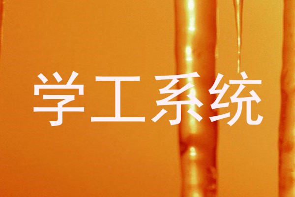 学工系统