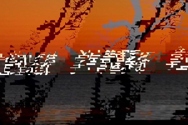 学生管理系统