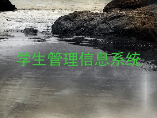 学生管理信息系统