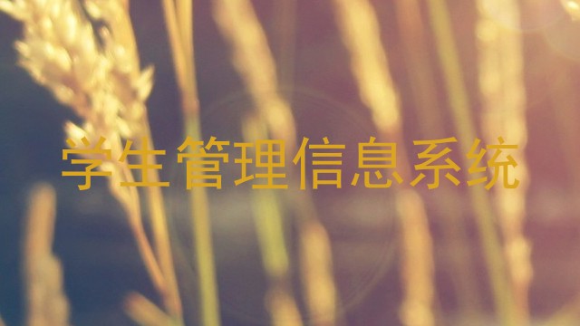 学生管理信息系统