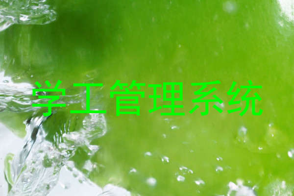 学工管理系统
