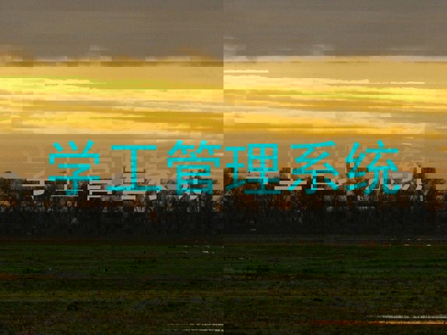 学工管理系统