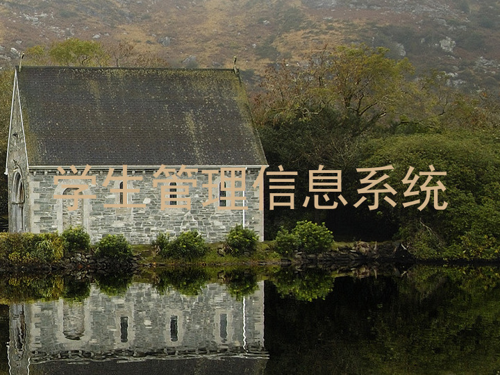 学生管理信息系统