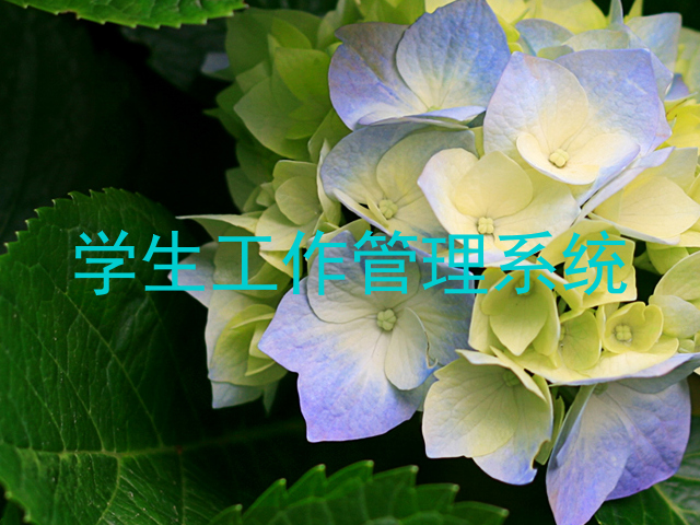 学生工作管理系统