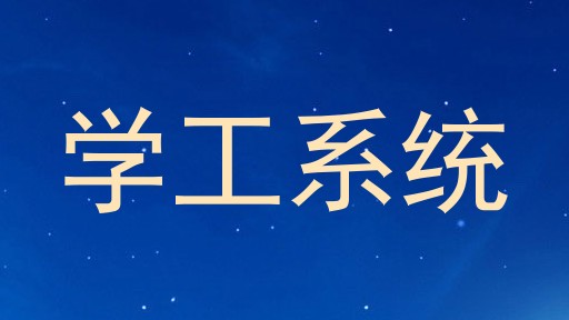 学工系统