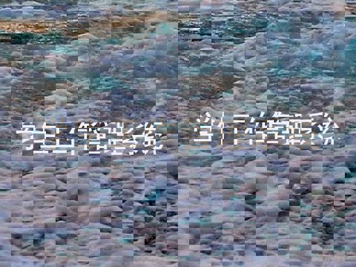 学生工作管理系统