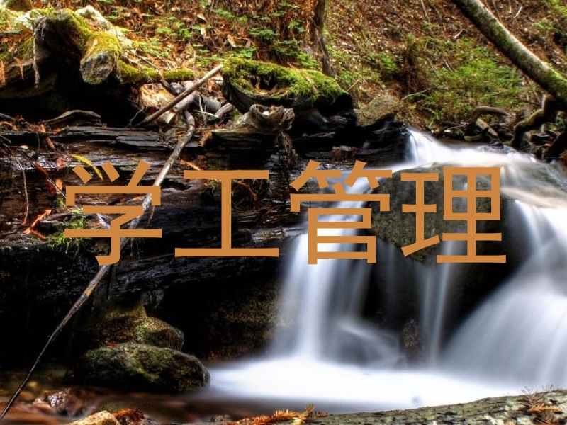 学工管理