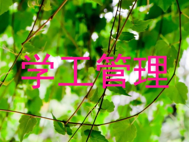 学工管理