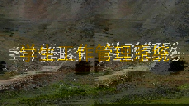 学生工作管理系统