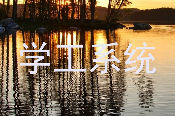 学工系统