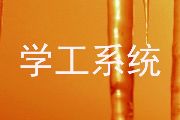学工系统