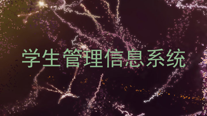 学生管理信息系统