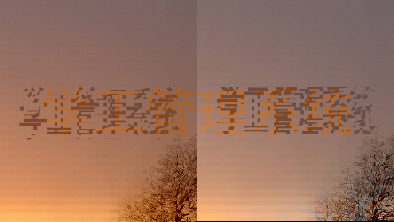 学工管理系统