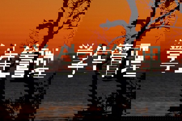 学生管理