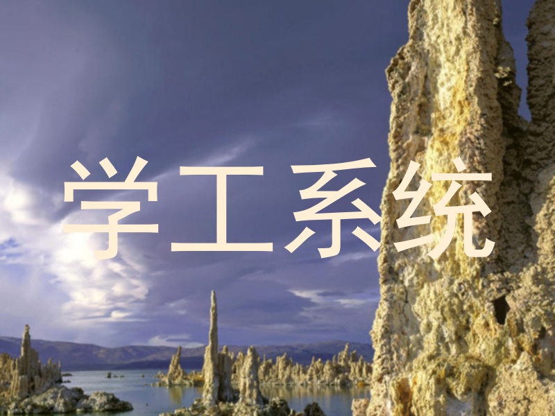 学工系统