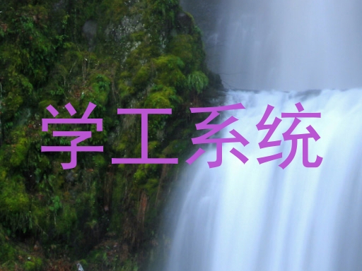 学工系统
