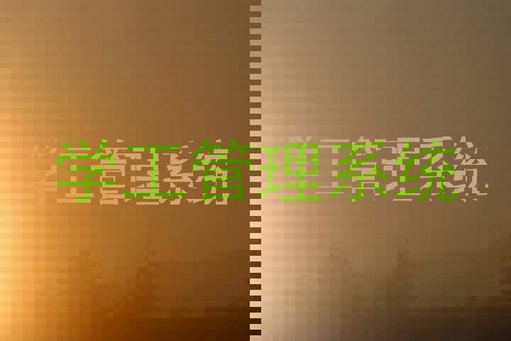 学工管理系统
