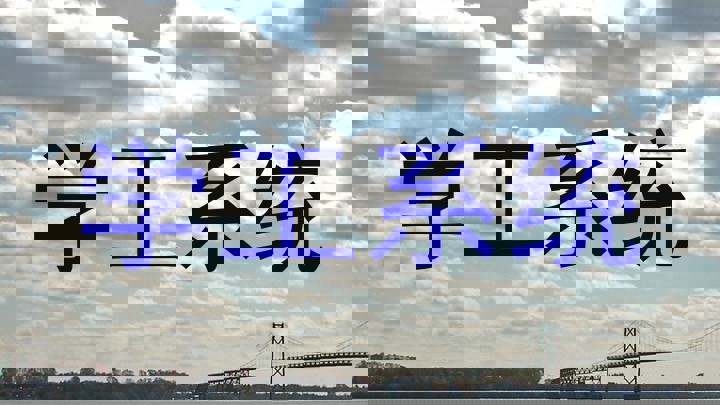 学工系统