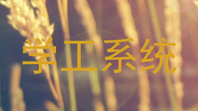 学工系统