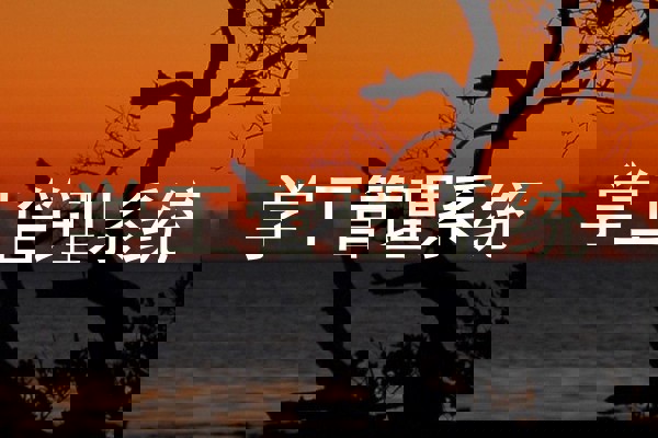 学工管理系统