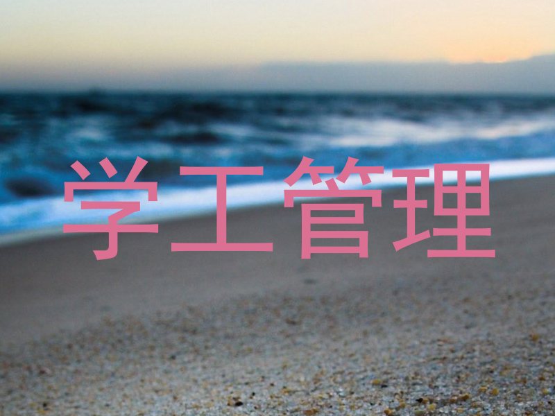 学工管理