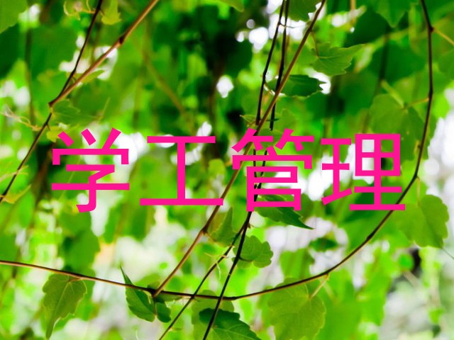 学工管理