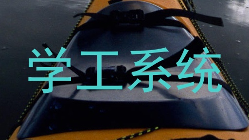 学工系统