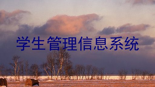 学生管理信息系统