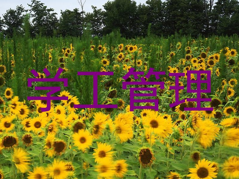 学工管理