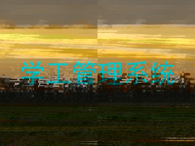 学工管理系统