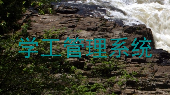 学工管理系统