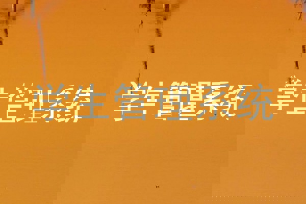 学生管理系统