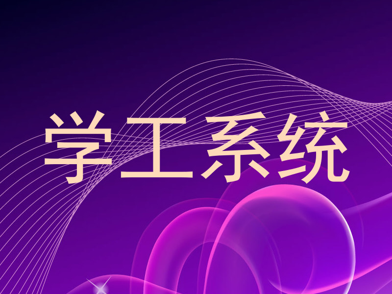 学工系统