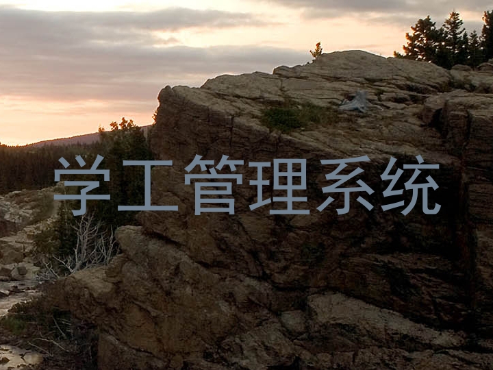 学工管理系统