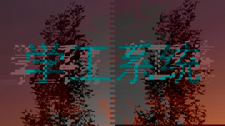 学工系统