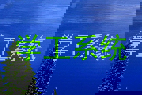 学工系统