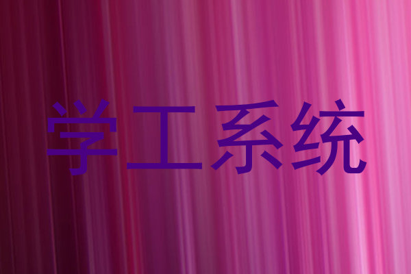 学工系统