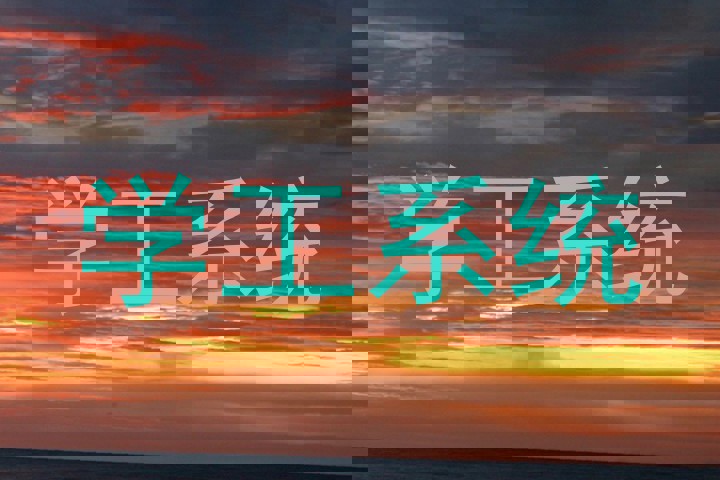 学工系统