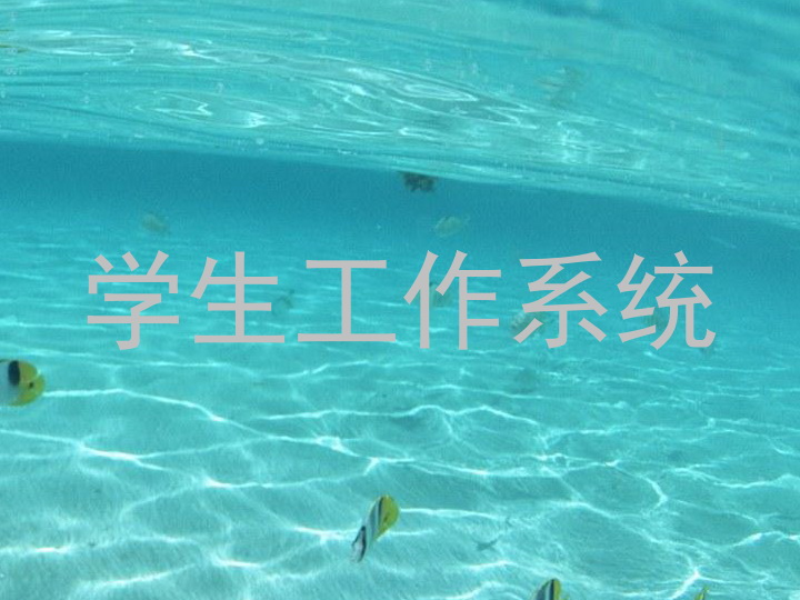 学生工作系统