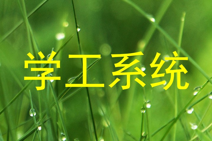 学工系统