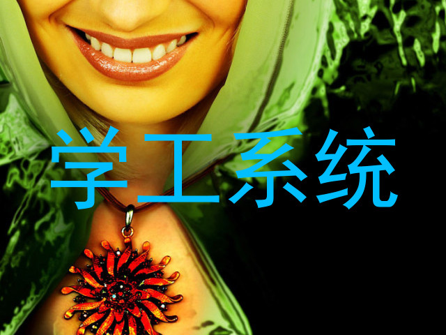 学工系统