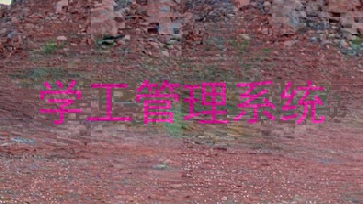 学工管理系统