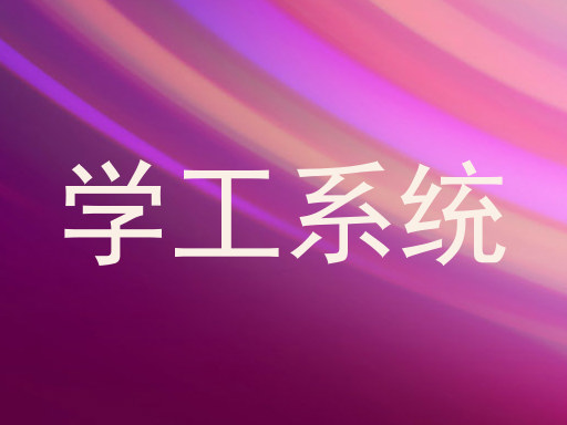 学工系统
