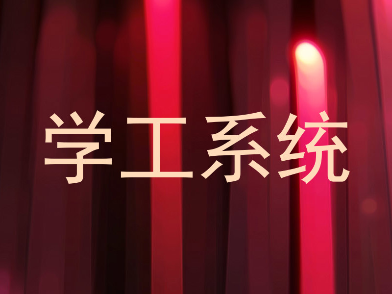 学工系统
