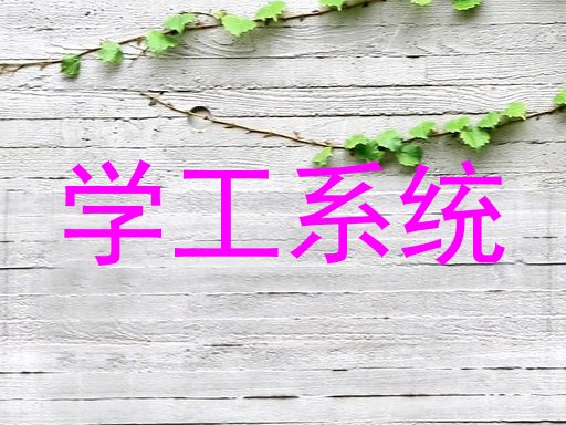 学工系统