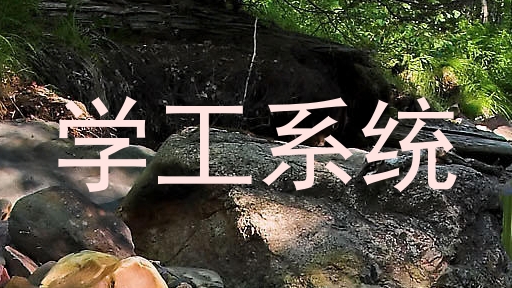 学工系统