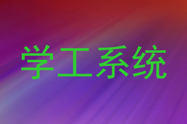 学工系统