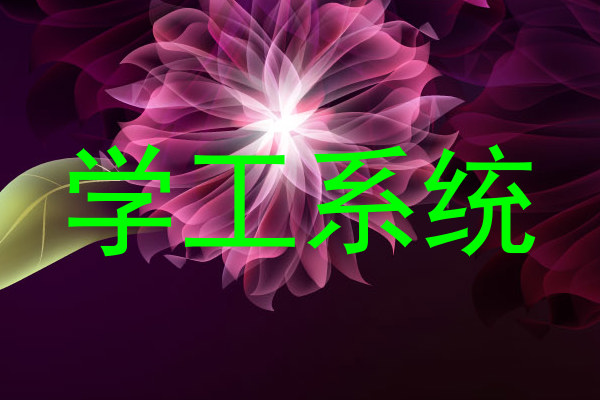 学工系统