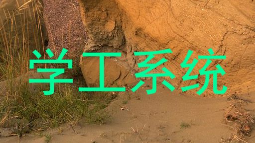 学工系统