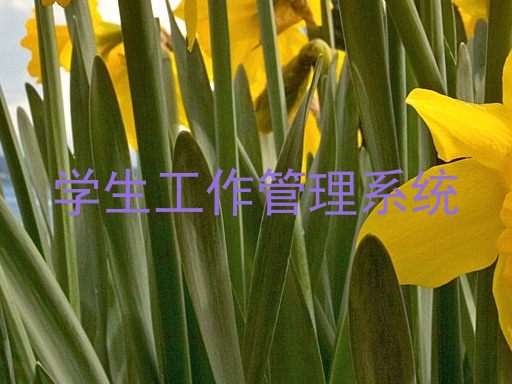 学生工作管理系统